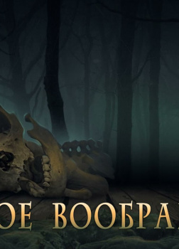 Богатое воображение
