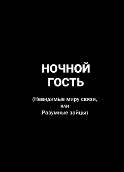 Ночной гость