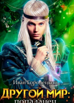 Попаданец