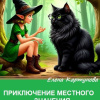 Приключение местного значения